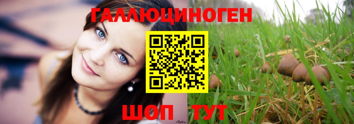 Бирск  Галлюциногенные грибы MAGIC MUSHROOMS  Вход с VPN  Галлюциногенные грибы Cubensis 